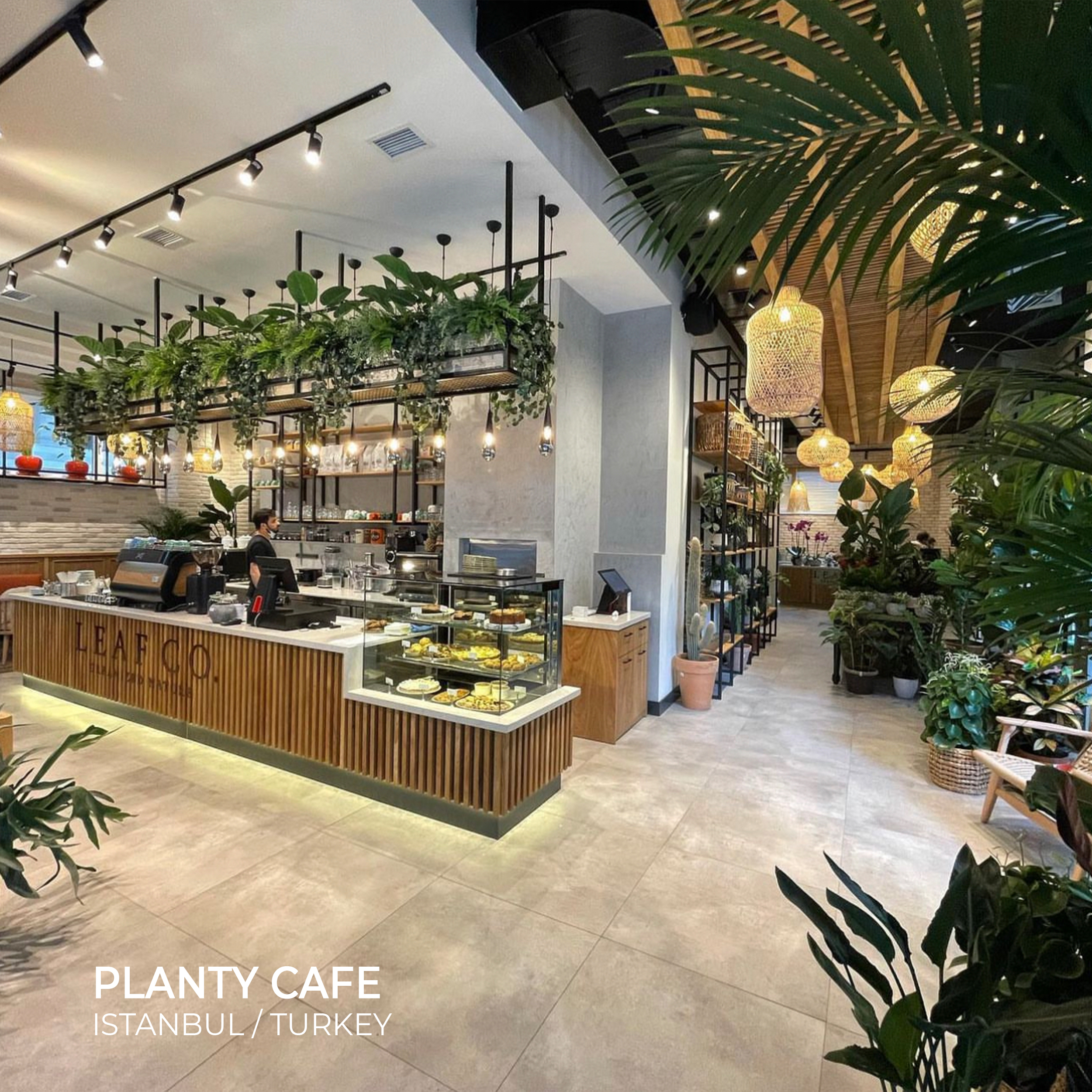 Planty Cafe - Sia Moore